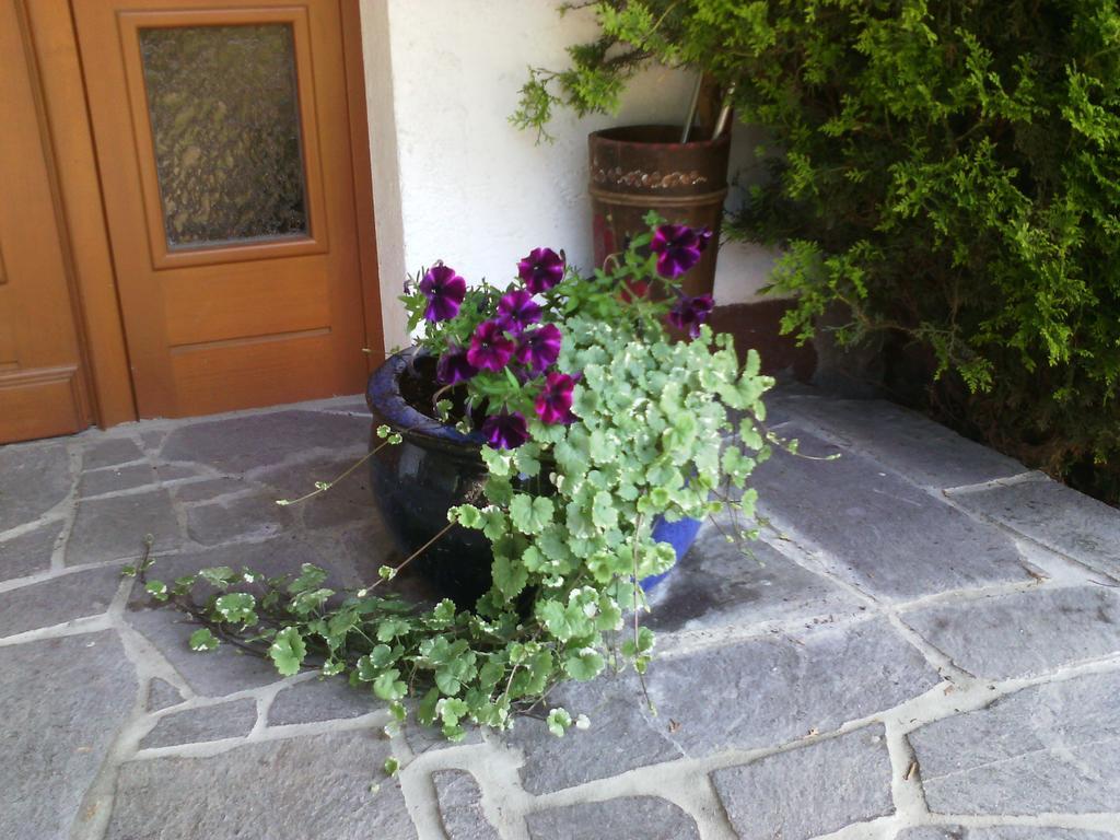 Appartements Zankl Kotschach-Mauthen Luaran gambar